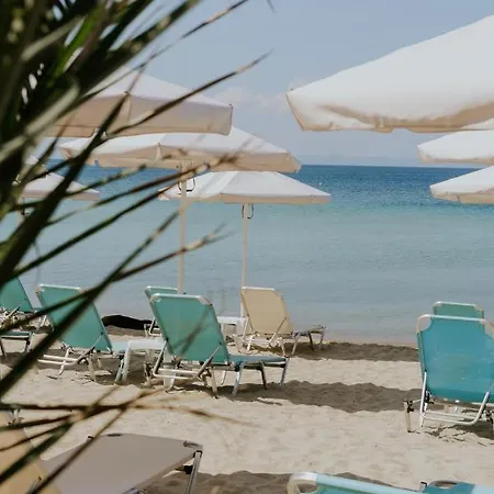 Отель Xenios Zeus